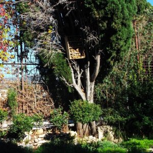DSCF9747.JPG