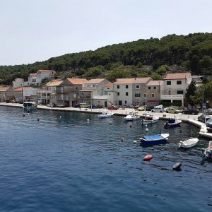 Dalmatien: INSEL ZIRJE > Hafen.jpg