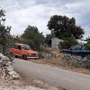 Alte Autos 2024.jpg
