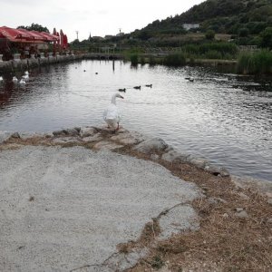 52_Kastel Stafilic.jpg