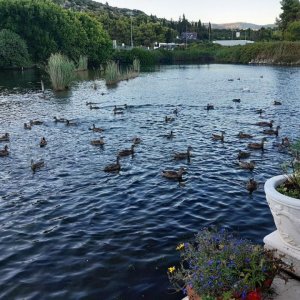 54_Kastel Stafilic.jpg