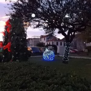 DSCF9829.JPG