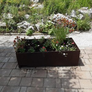 21_Stella Croatica Klis.jpg