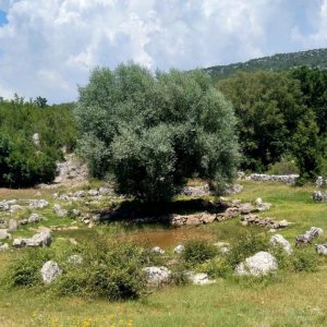 27_Rimski bunari Nisko.jpg