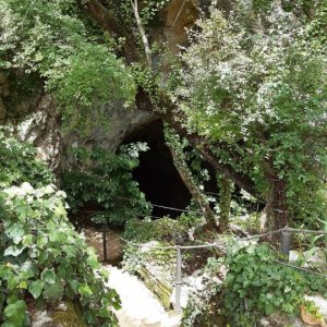 12_Kotlenice Höhle Vranjaca.jpg
