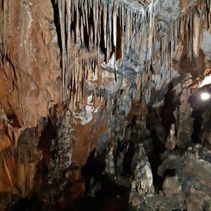 29_Kotlenice Höhle Vranjaca.jpg