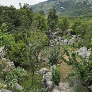 43_Kotlenice Höhle Vranjaca.jpg