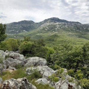47_Kotlenice Höhle Vranjaca.jpg