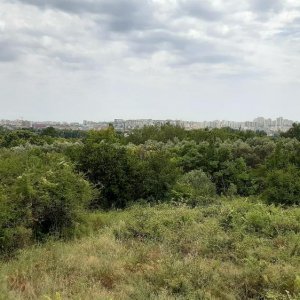 60_Solin Salona.jpg