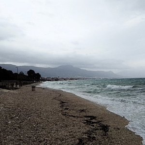 IMG_20250314_164811.jpg