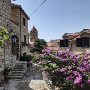 17_Omis_Altstadtgeflüster.jpg