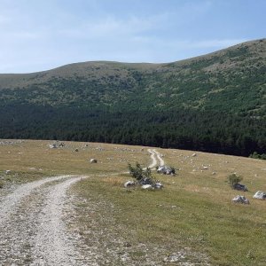 41_BiH Kapelica sv. Ilije.jpg
