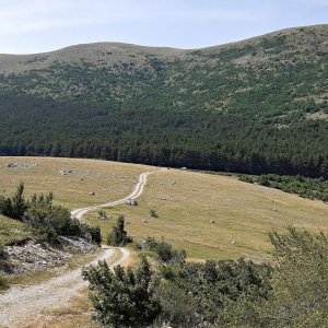 51_BiH Kapelica sv. Ilije.jpg