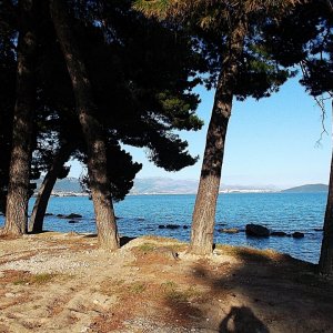 DSCF0297.JPG