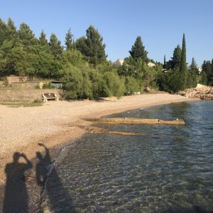 741D6E80-C41D-47EC-B7A7-ECB3B04F00A2.jpeg