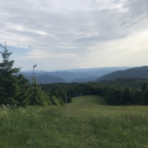 CB773D0B-E1E1-4D3D-B9E3-0BE8491167ED.jpeg