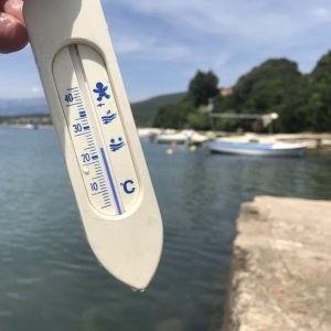 C3CC266F-6AB5-4B07-914D-1287D13DCCF1.jpeg