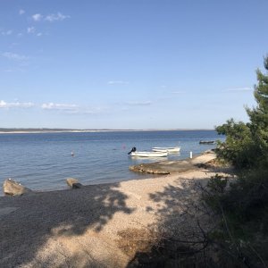 86DE8206-3EAD-4AB4-90C5-CE7811925D26.jpeg