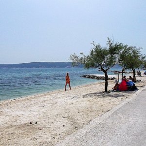 DSCF0300.JPG