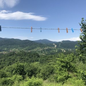 IMG_5318.JPG