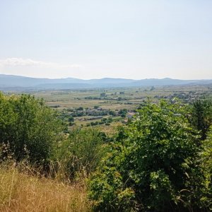 IMG_20250624_101248.jpg