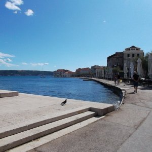 DSCF0333.JPG