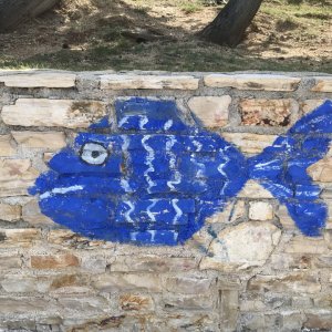 Fisch.JPG