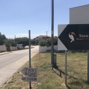 Toco (4).JPG