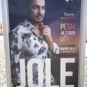 Toco (9).JPG