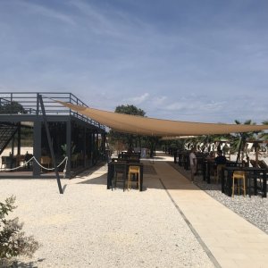 Toco (10).JPG