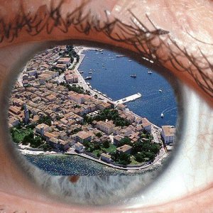 Auge.JPG
