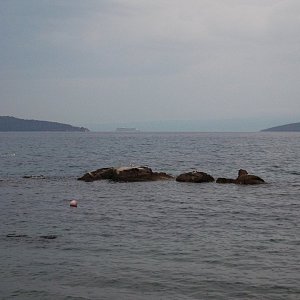 DSCF0360.JPG