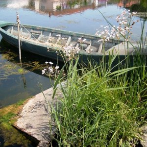 Idylle an der Neretva