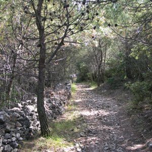 Mali Losinj -Wanderweg nach Balvanida