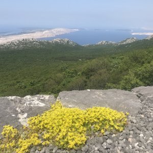 Veli Alan Pass_klein.JPG