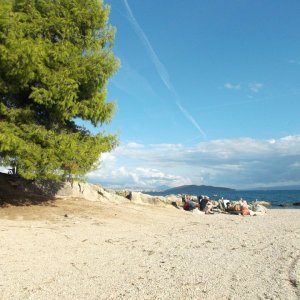 DSCF0404.JPG