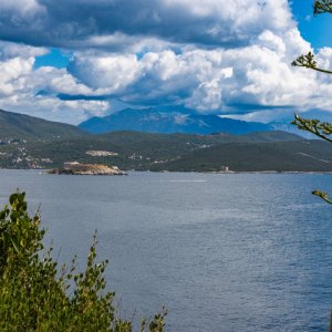 IMG_4590.jpg