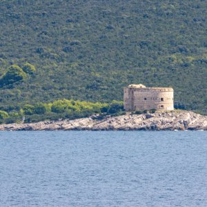 IMG_4600.jpg