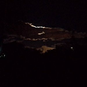 IMG_20251007_193708.jpg