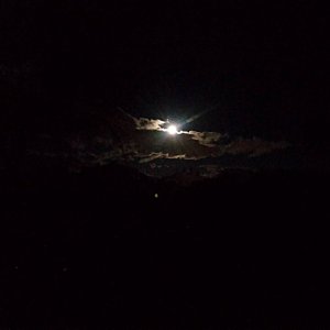 IMG_20251007_193856.jpg