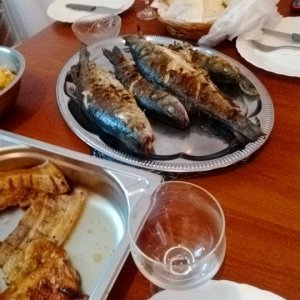 IMG_20251011_122221.jpg