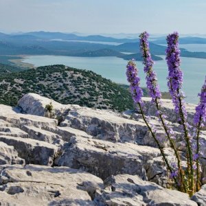 Blick vom Vidikovac Kamenjak über Vransko jezero Richtung Murter_KLEIN.jpg
