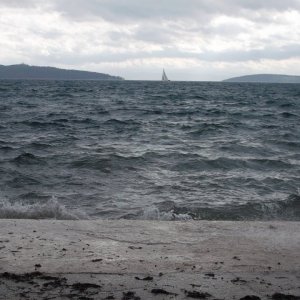 DSCF0454.JPG