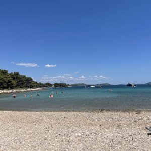 IMG_7611.jpeg