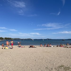 IMG_7824.jpeg