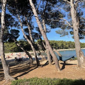 IMG_7823.jpeg