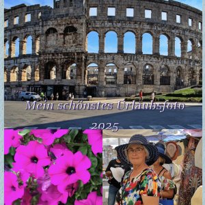 Collage_Mein schönstes Urlaubsfoto 2025_final.jpg