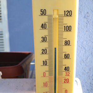 IMG_20260523_080912.jpg