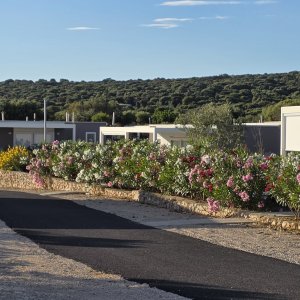 Bungalow Terra Phalaris 2