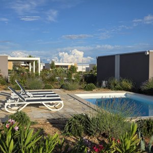 Bungalow Terra Phalaris 4